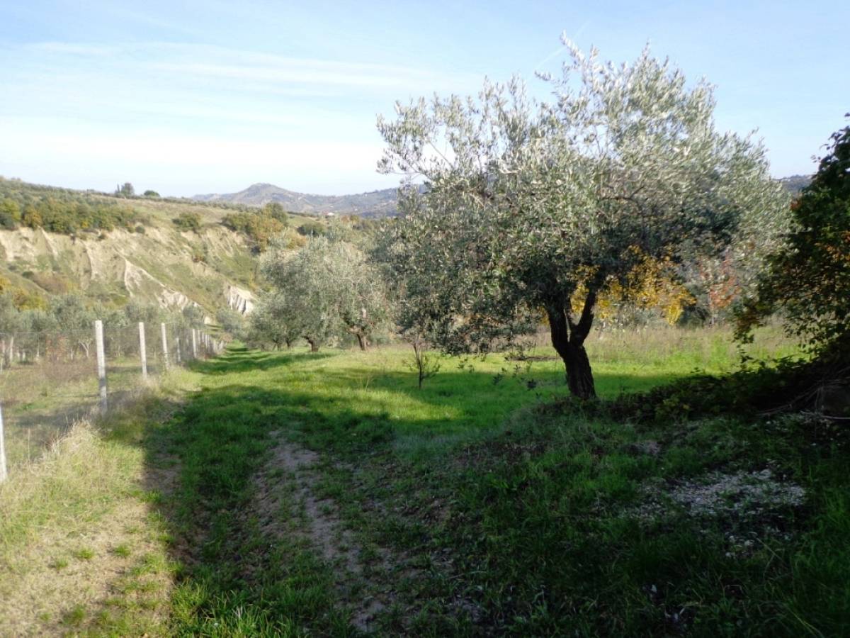 Terreno Agricolo in vendita in contrada iconicella  a Bucchianico - 850622 foto 4