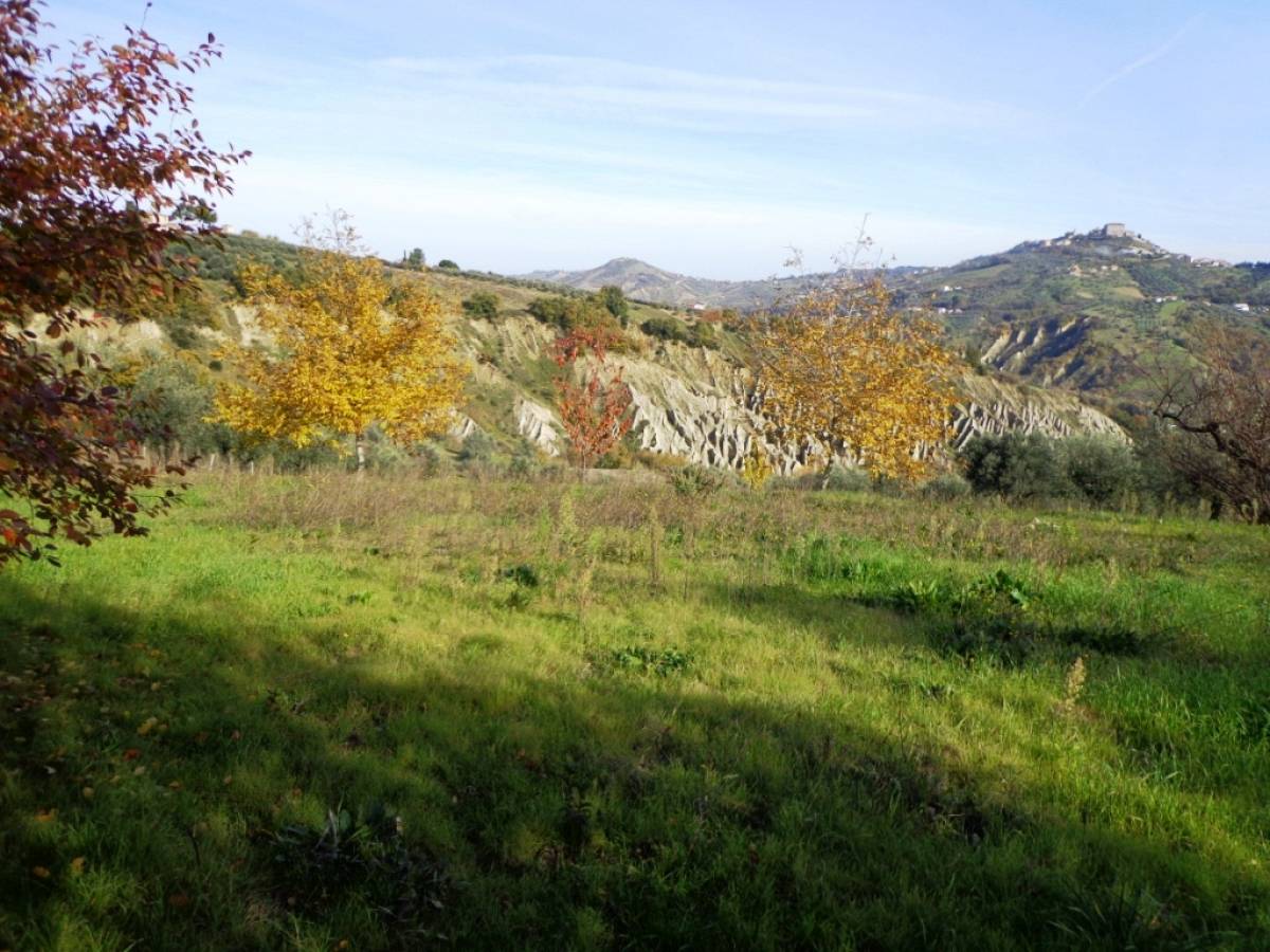 Terreno Agricolo in vendita in contrada iconicella  a Bucchianico - 850622 foto 5