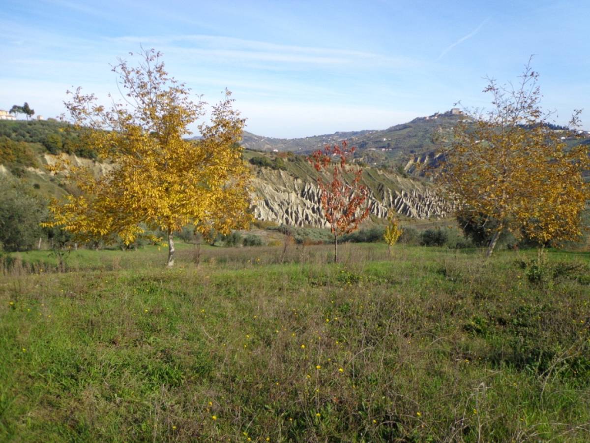 Terreno Agricolo in vendita in contrada iconicella  a Bucchianico - 850622 foto 6