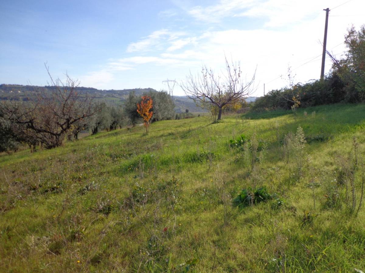 Terreno Agricolo in vendita in contrada iconicella  a Bucchianico - 850622 foto 7