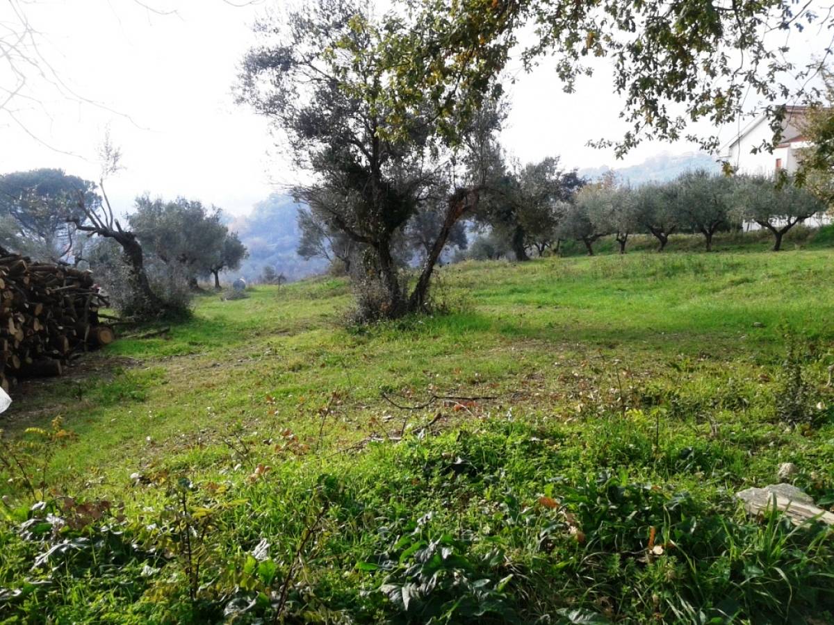 Terreno Agricolo in vendita in via alento strada comunale  a Casalincontrada - 513152 foto 1