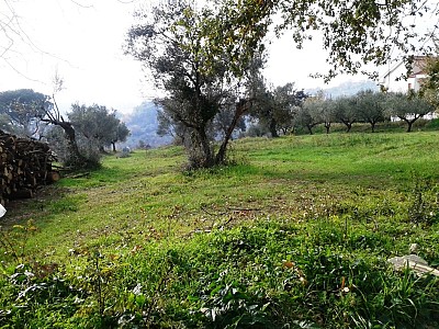 Terreno Agricolo in vendita a Casalincontrada