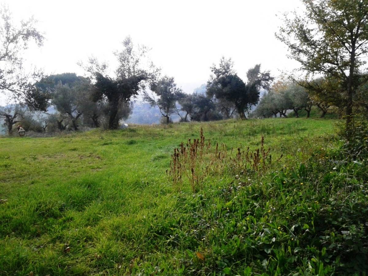 Terreno Agricolo in vendita in via alento strada comunale  a Casalincontrada - 513152 foto 3