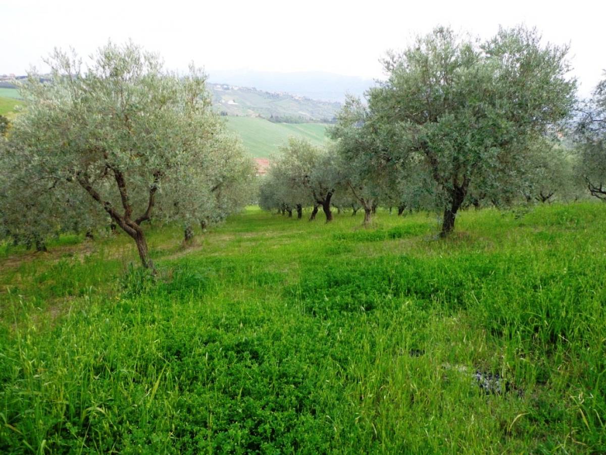 Residential building lot for sale in colle sant'antonio  at Bucchianico - 598108 foto 1