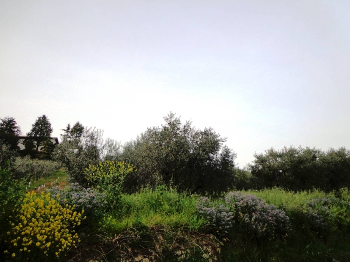 Residential building lot for sale in colle sant'antonio  at Bucchianico - 598108 foto 6