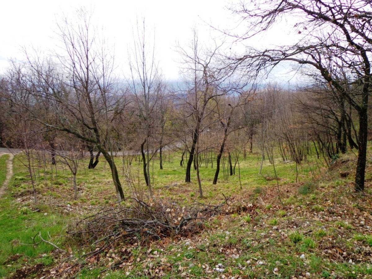 Rural house or Rustic for sale in contrada capo le macchie  at Fara San Martino - 539994 foto 9