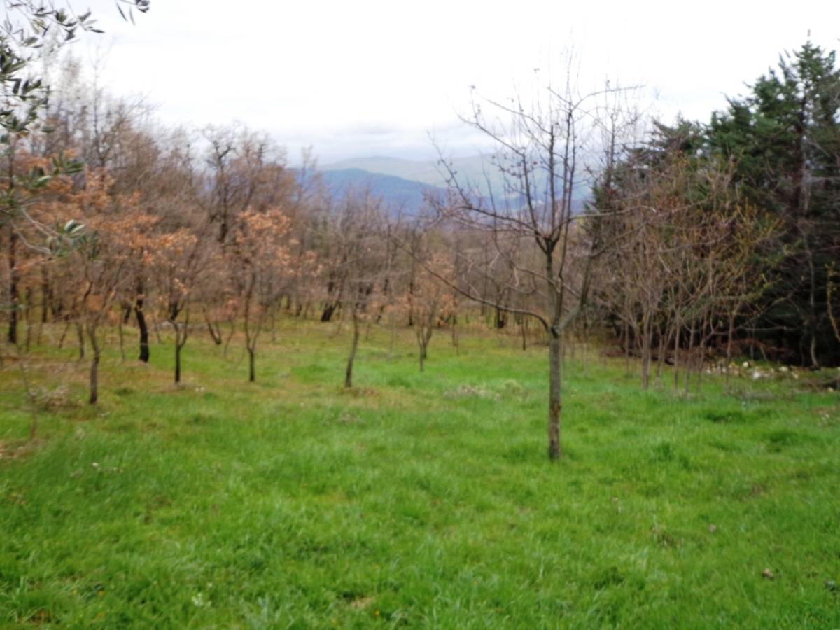 Casale o Rustico in vendita in contrada capo le macchie  a Fara San Martino - 539994 foto 11