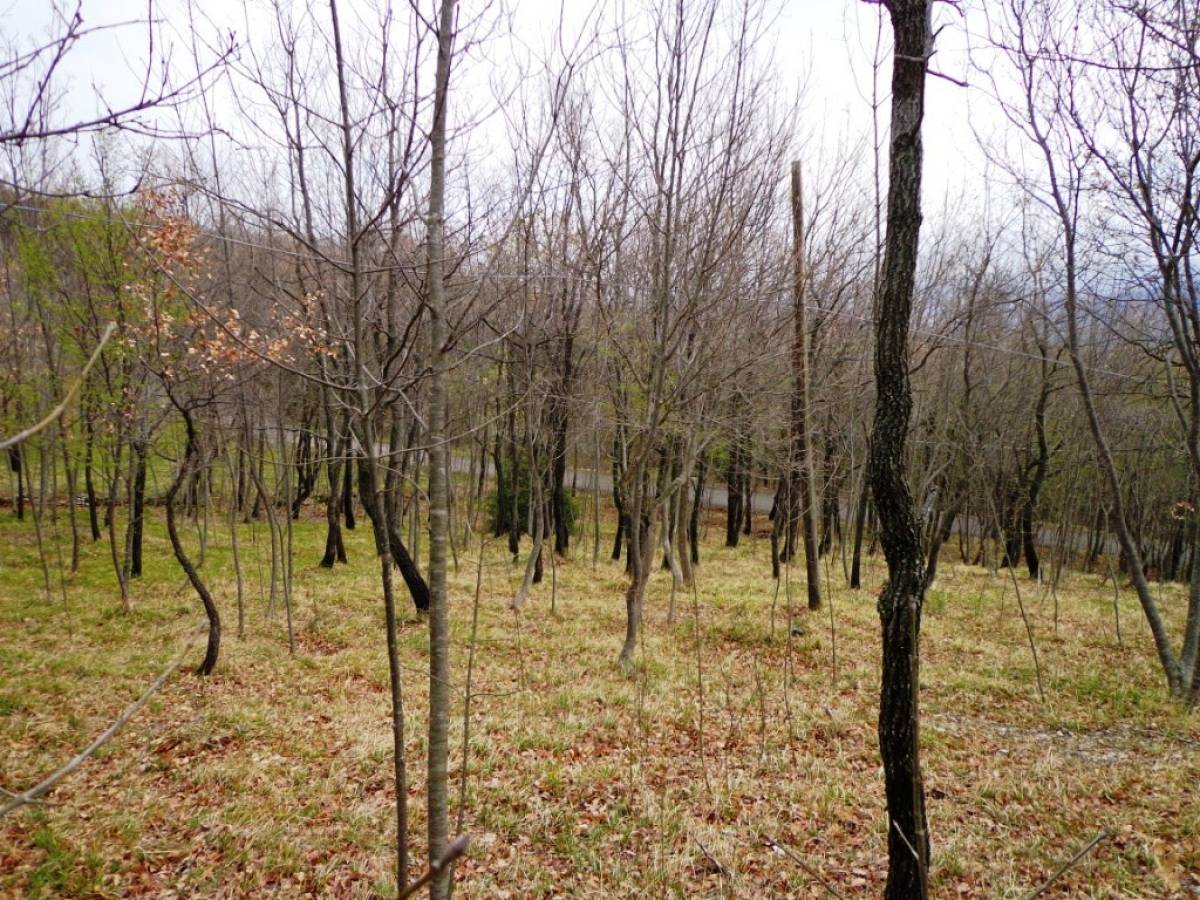 Casale o Rustico in vendita in contrada capo le macchie  a Fara San Martino - 539994 foto 15