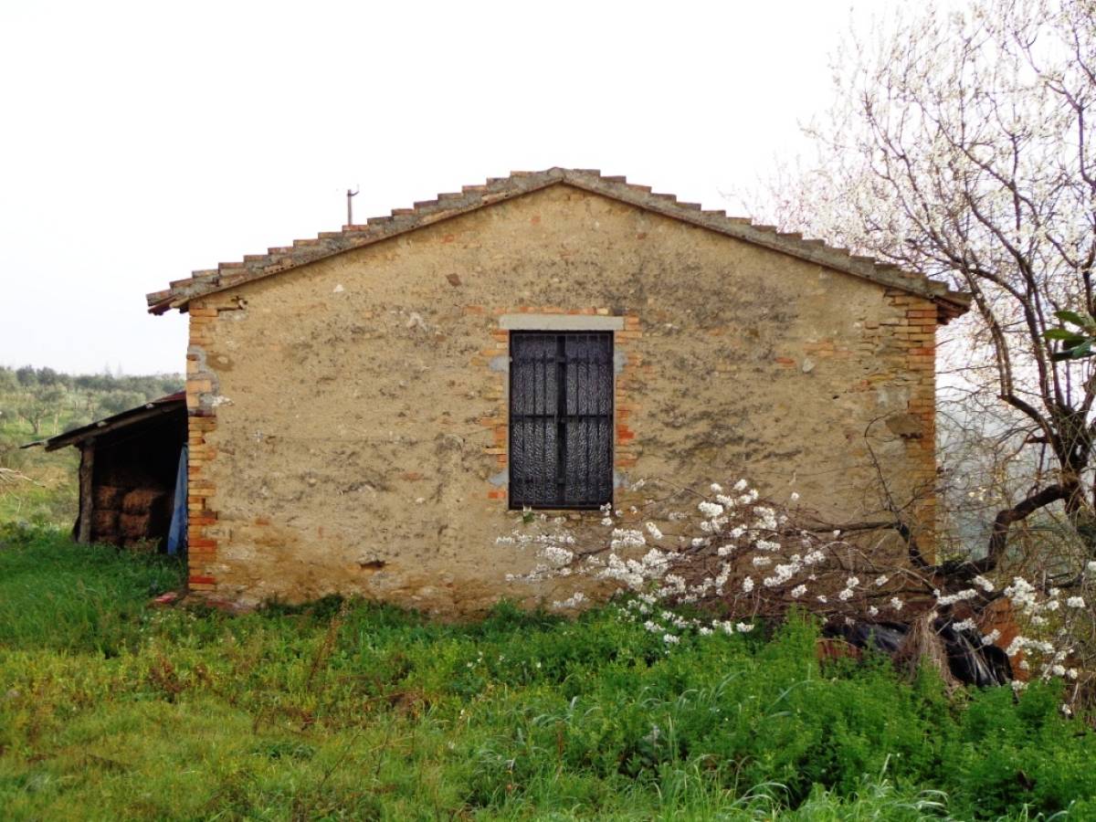Rural house or Rustic for sale in contrada colle pascucci  at Orsogna - 294861 foto 11