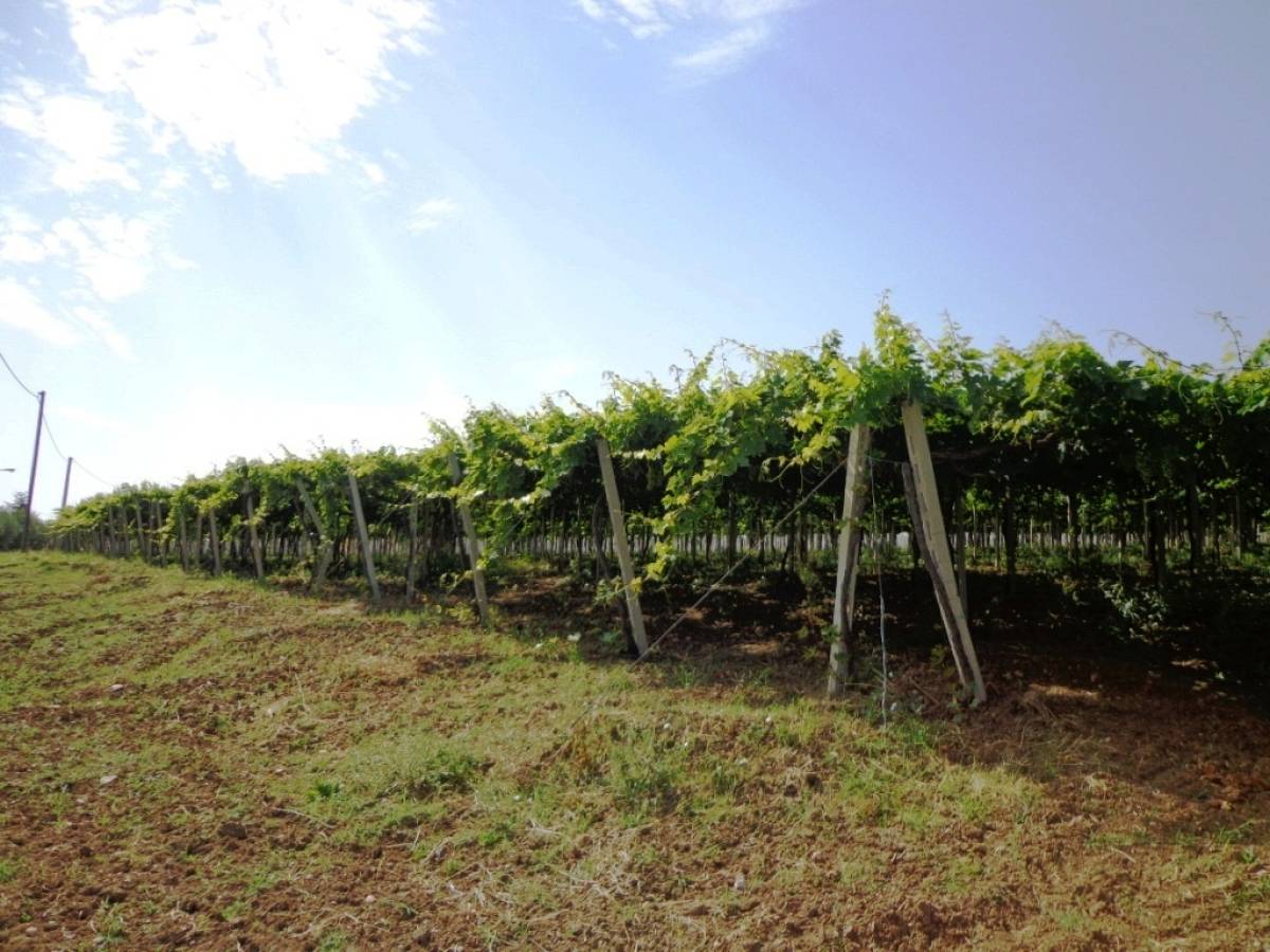 Terreno Agricolo in vendita in contrada sciutico  a San Vito Chietino - 858369 foto 7