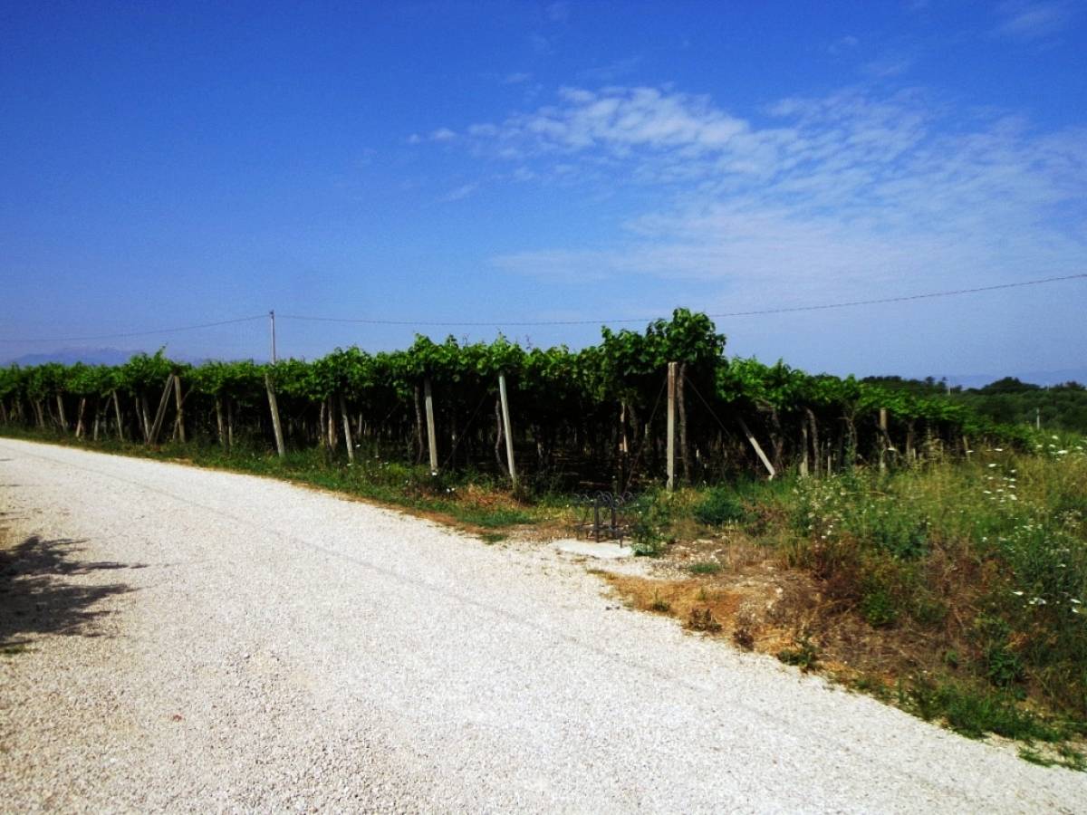 Terreno Agricolo in vendita in contrada sciutico  a San Vito Chietino - 858369 foto 9