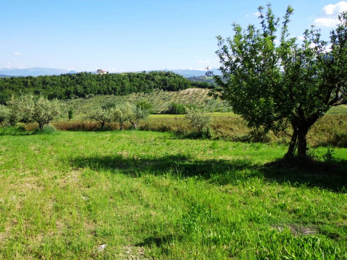 Casa indipendente in vendita in contrada caprafico  a Guardiagrele - 226076 foto 10