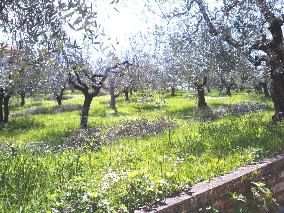 Terreno Edificabile Res. in vendita in c.da colle marcone zona Colle Marconi a Chieti - 96349 foto 2