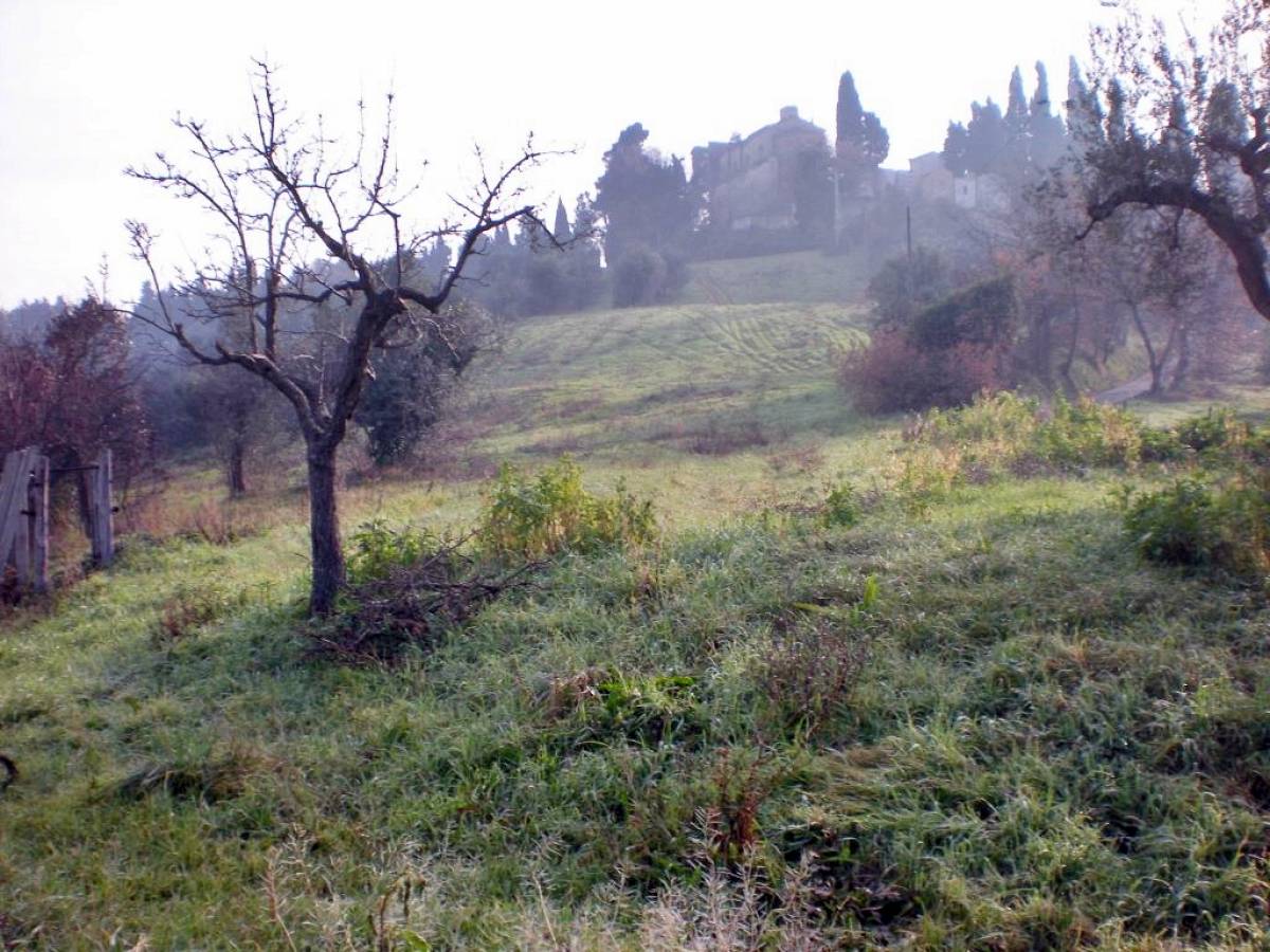 Farmland for sale in contrada costa cola  at Bucchianico - 7785 foto 1