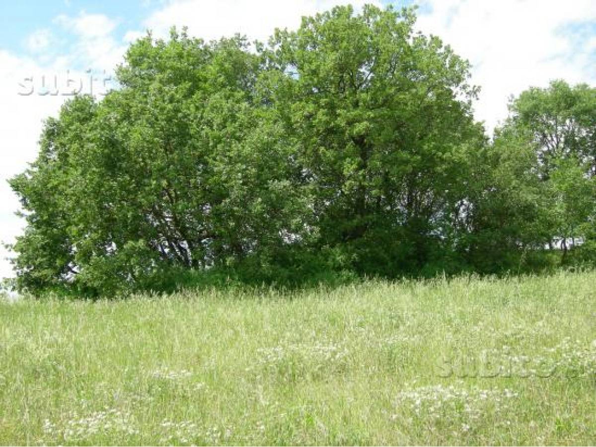 Residential building lot for sale in via vaschiola  at Torrevecchia Teatina - 788557 foto 3