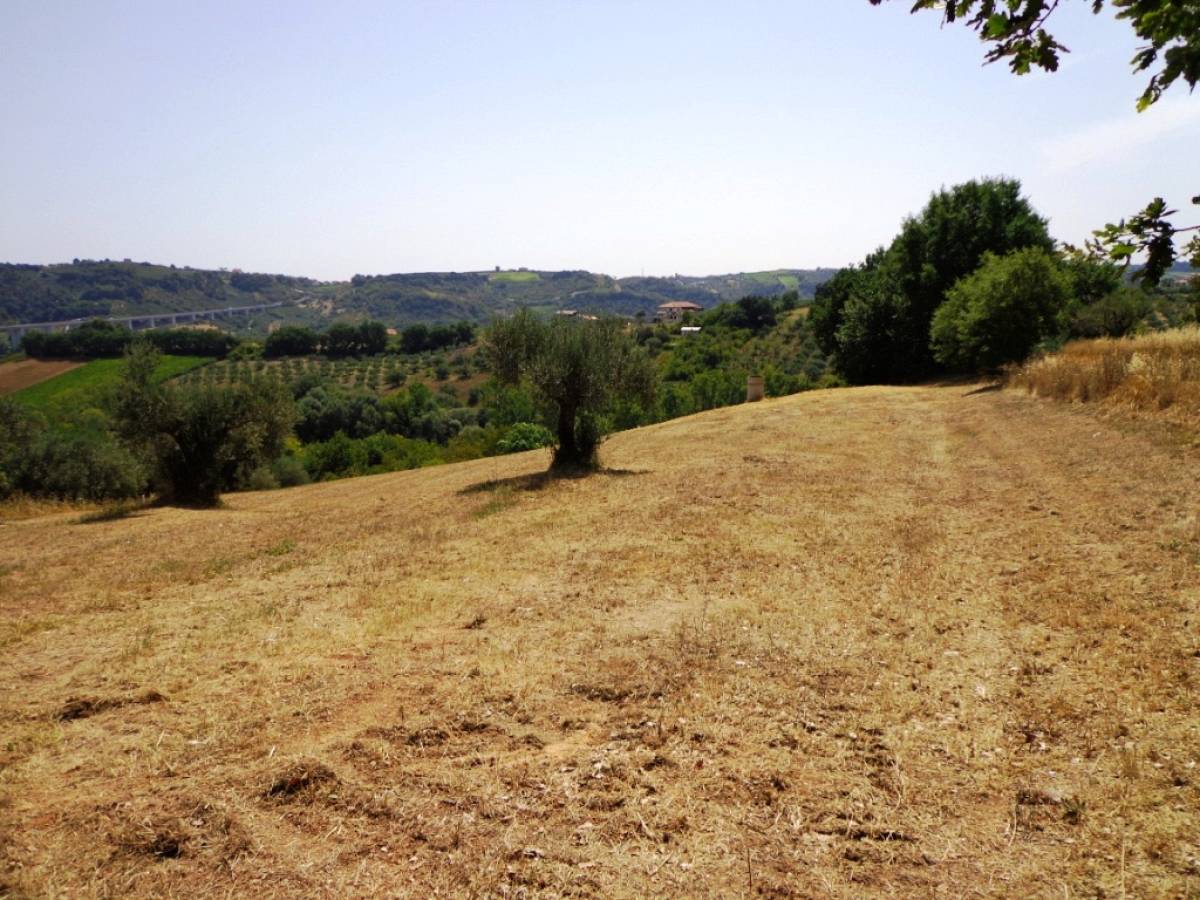 Terreno Edificabile Res. in vendita in via vaschiola  a Torrevecchia Teatina - 788557 foto 5