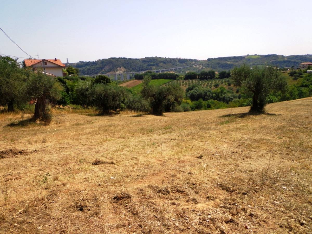 Terreno Edificabile Res. in vendita in via vaschiola  a Torrevecchia Teatina - 788557 foto 6