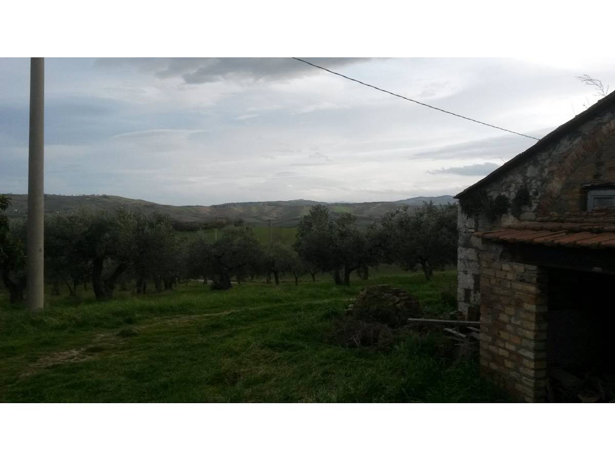 Farmland for sale in contrada colle delle ginestre  at Montenero di Bisaccia - 349047 foto 6