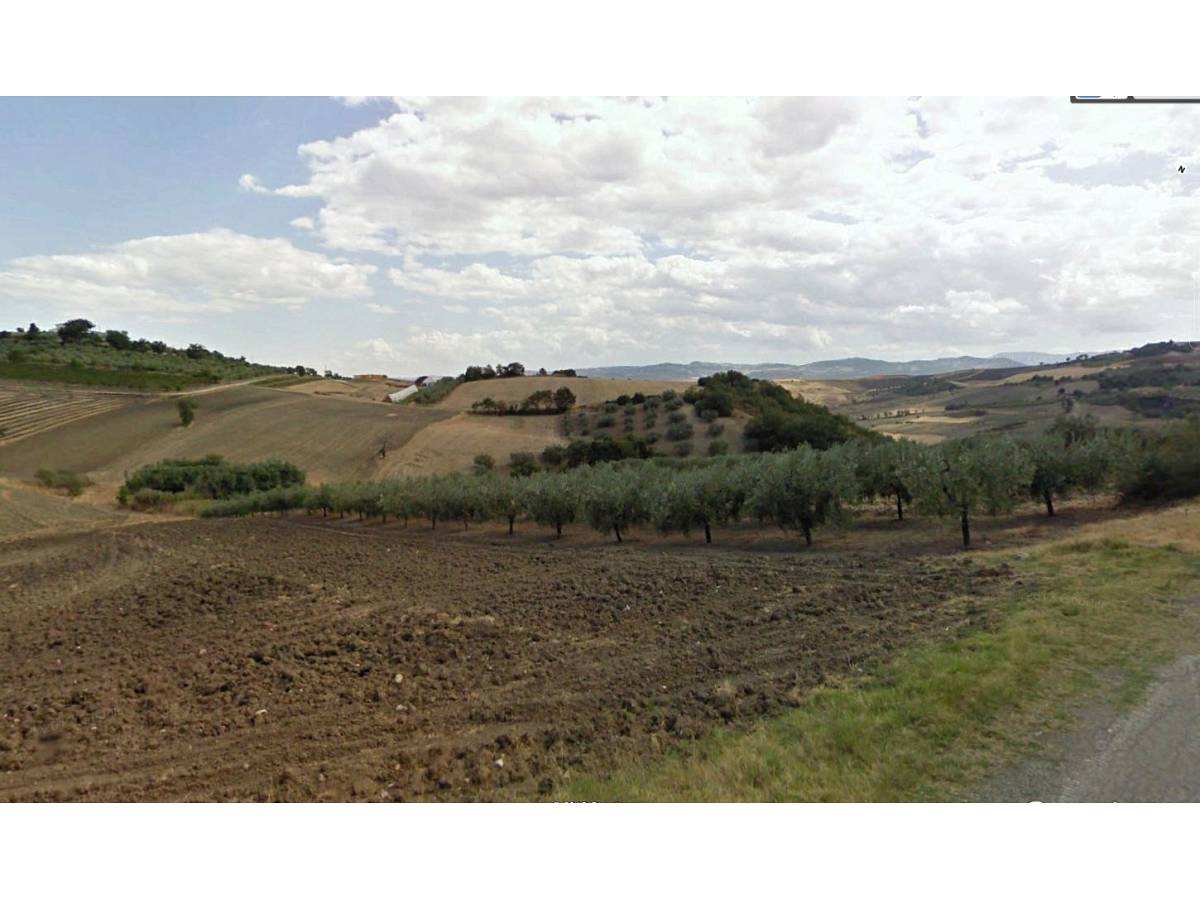 Farmland for sale in Contrada Montalfano  at Cupello - 2762965 foto 2