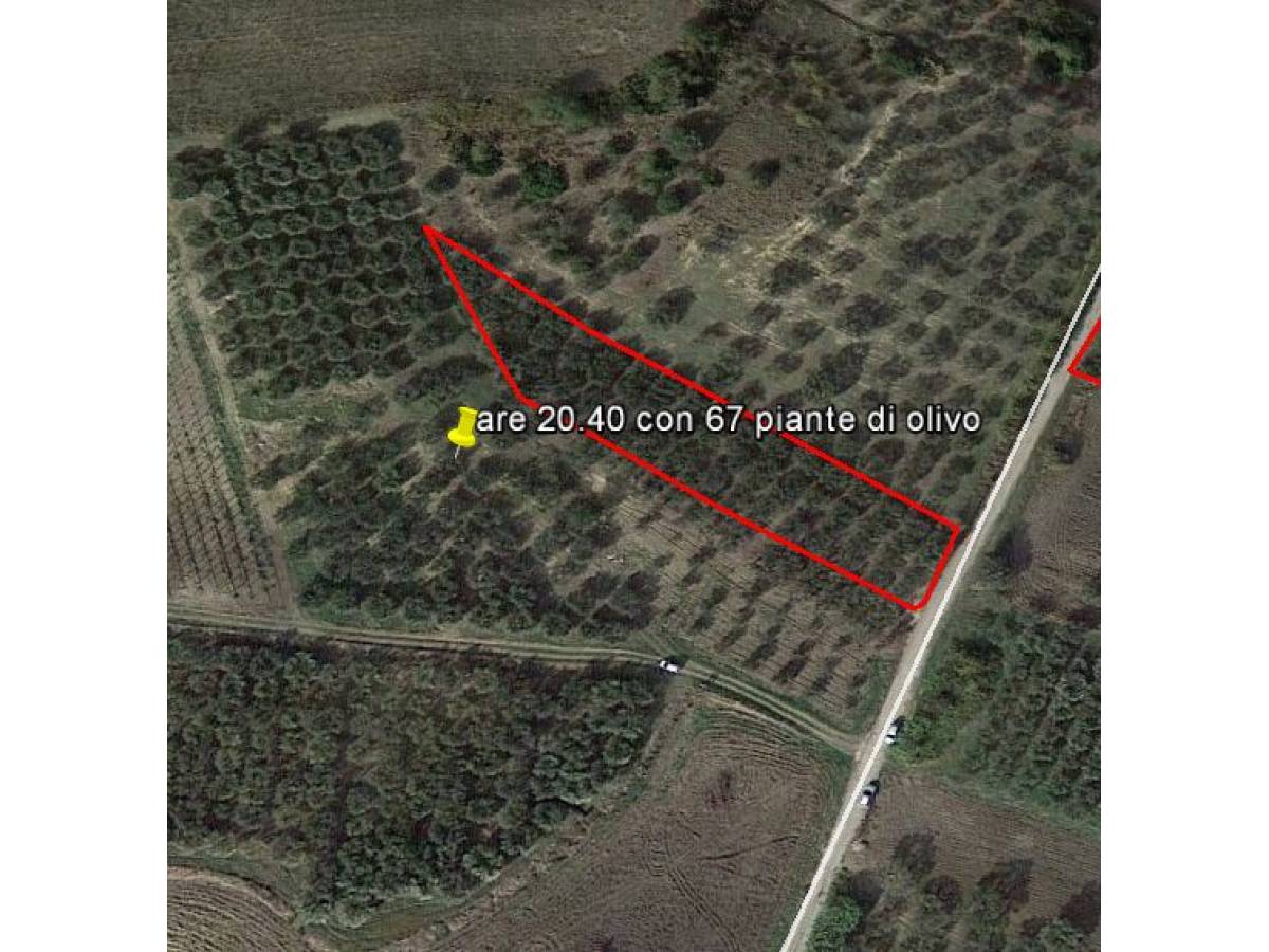 Farmland for sale in Contrada Montalfano  at Cupello - 6940055 foto 1