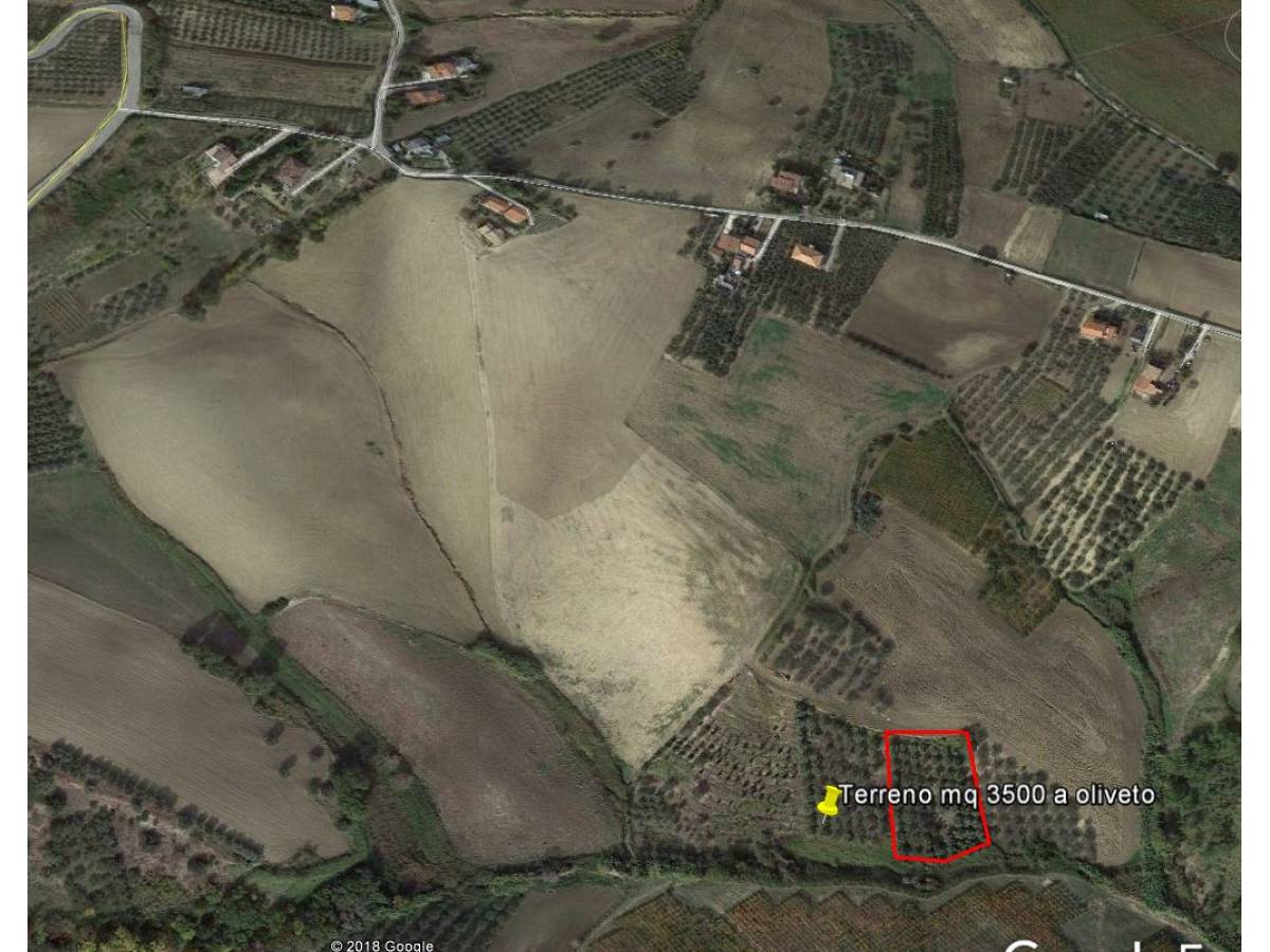 Farmland for sale in Contrada Ributtini  at Cupello - 3986197 foto 1