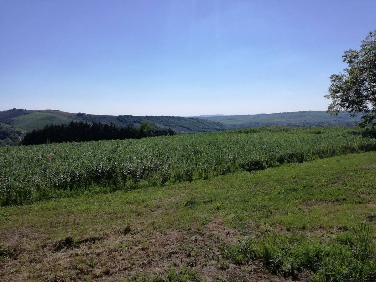 Terreno Agricolo in vendita in   a Penne - 5992212 foto 2