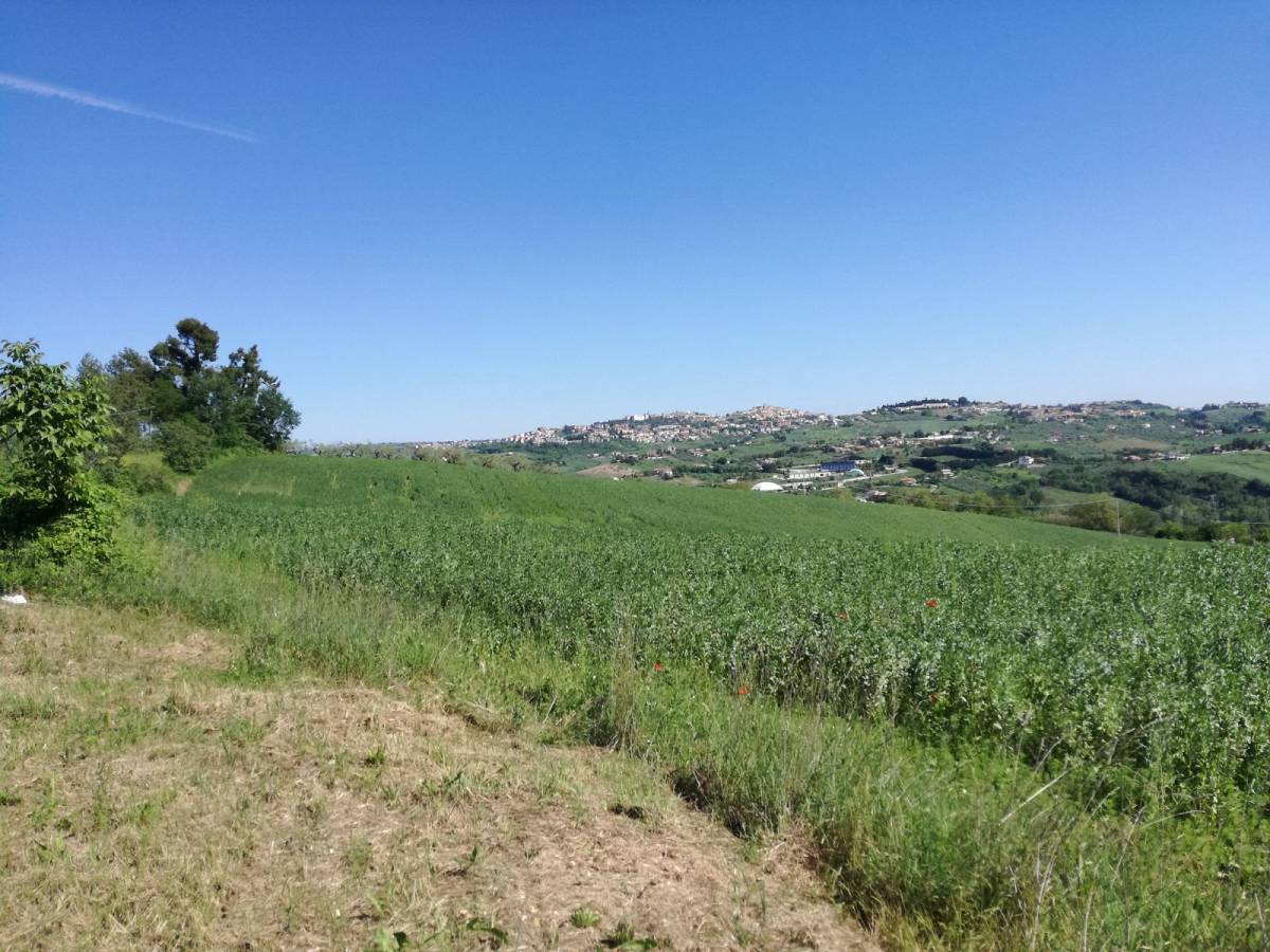 Terreno Agricolo in vendita in   a Penne - 5992212 foto 3