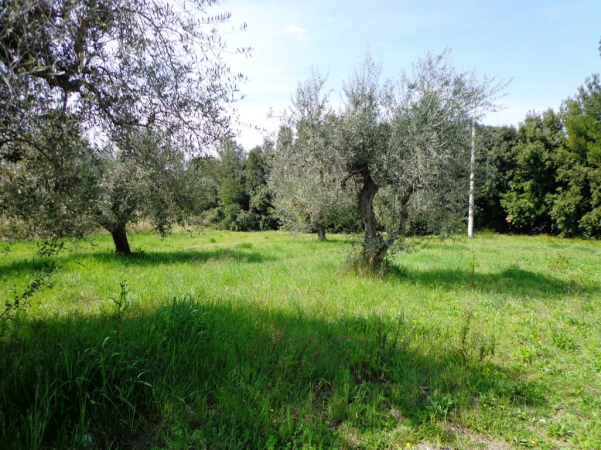 Residential building lot for sale in via torre  at Torrevecchia Teatina - 9562172 foto 5