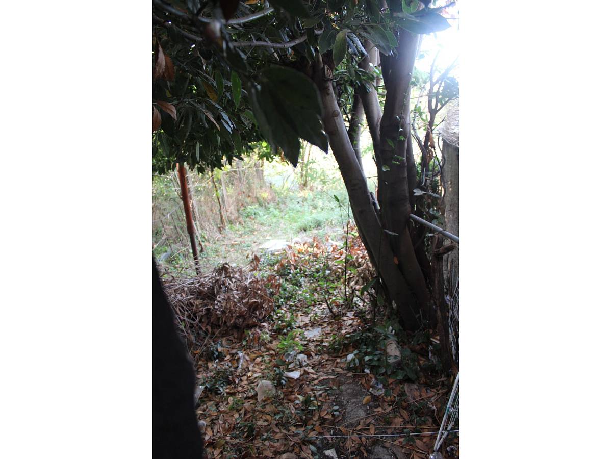 Casa indipendente in vendita in Corso Mazzini, 9  a Cupello - 2427671 foto 14