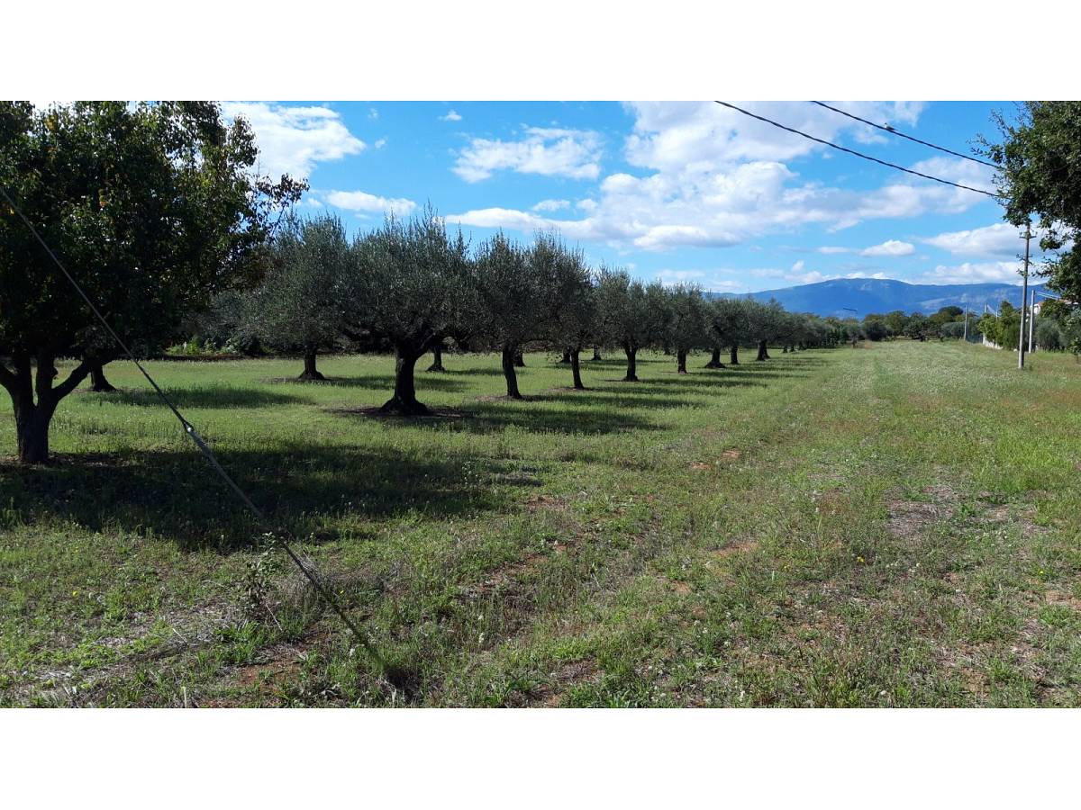 Residential building lot for sale in via Forlani  at Cepagatti - 3407816 foto 1