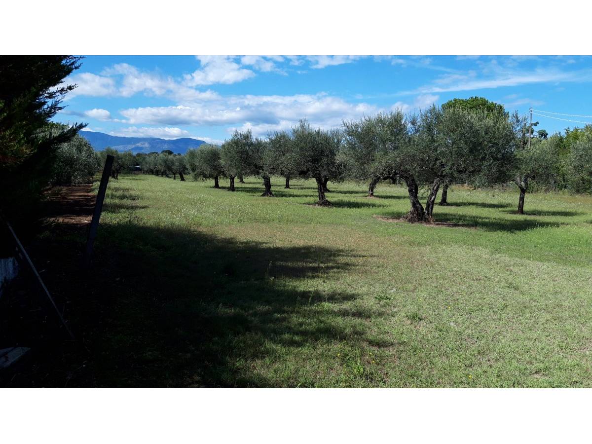Residential building lot for sale in via Forlani  at Cepagatti - 3407816 foto 2