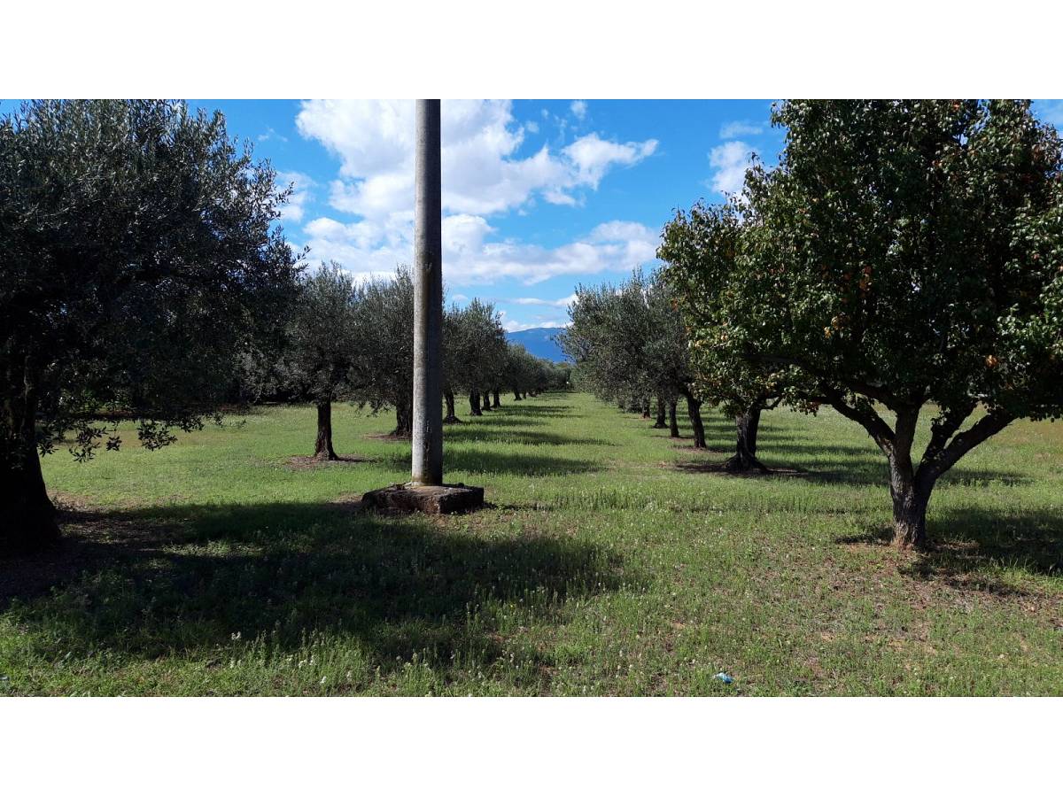 Residential building lot for sale in via Forlani  at Cepagatti - 3407816 foto 3