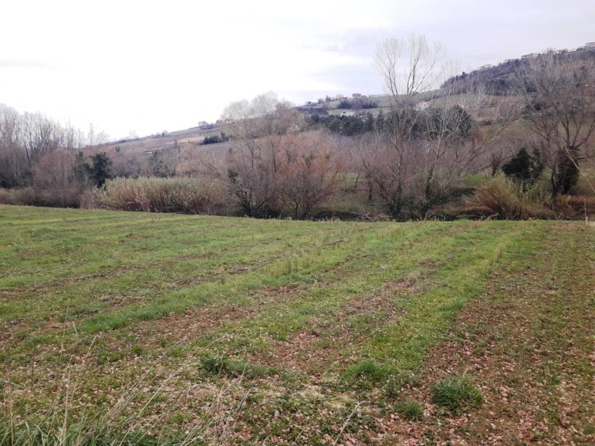 Terreno Agricolo in vendita in contrada serepenne  a Villamagna - 1339615 foto 2