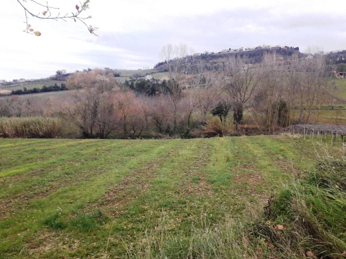 Farmland for sale in contrada serepenne  at Villamagna - 1339615 foto 3
