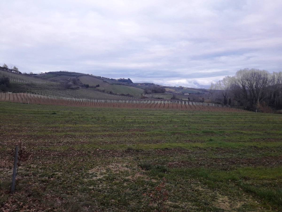 Terreno Agricolo in vendita in contrada serepenne  a Villamagna - 1339615 foto 4
