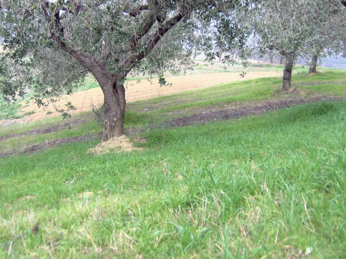 Residential building lot for sale in via delle more  at Casalincontrada - 637328 foto 1