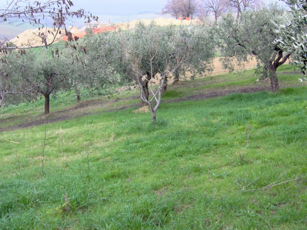 Terreno Edificabile Res. in vendita in via delle more  a Casalincontrada - 637328 foto 2