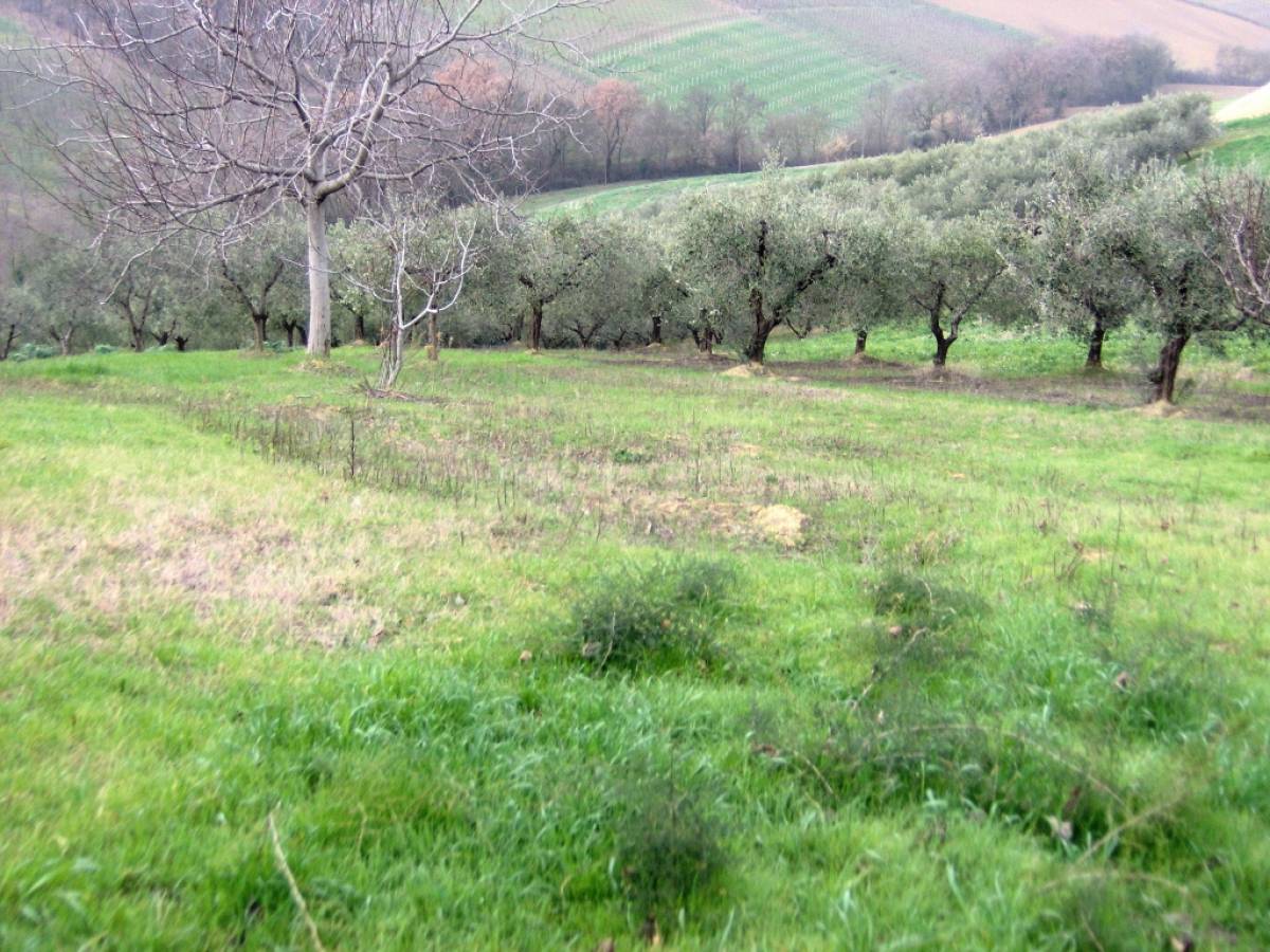 Terreno Edificabile Res. in vendita in via delle more  a Casalincontrada - 637328 foto 4