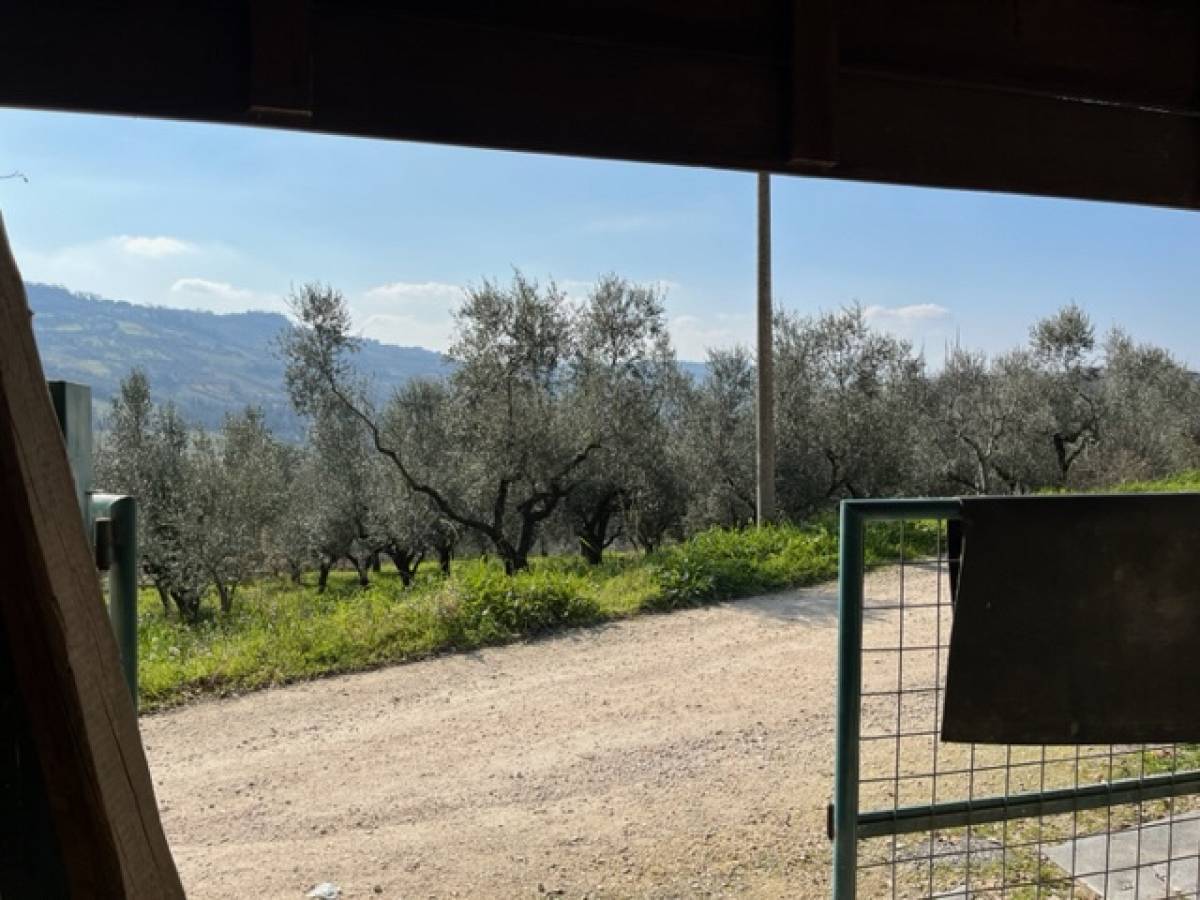 Terreno Agricolo in vendita in San Salvatore zona San Salvatore a Chieti - 3000671 foto 6