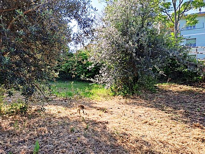 Terreno Edificabile Res. in vendita a Chieti