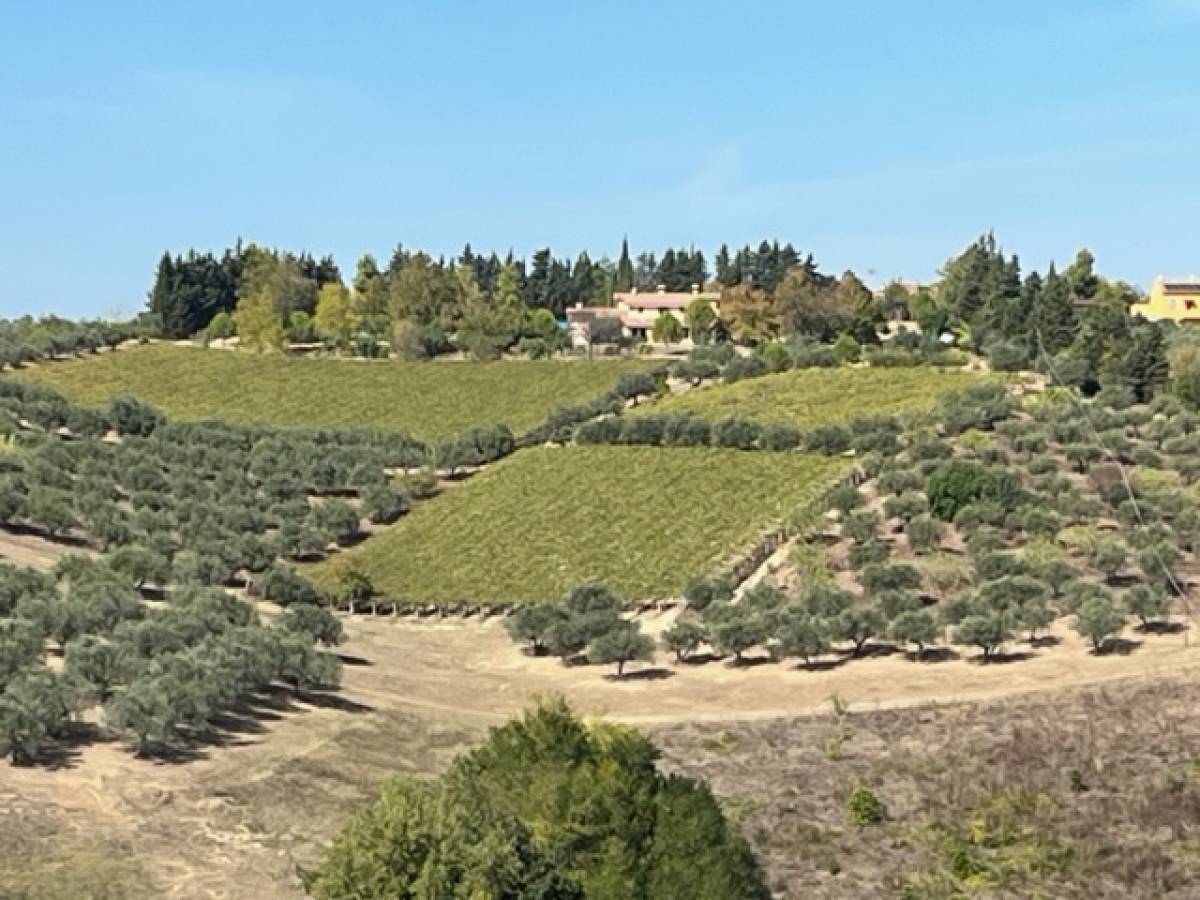 Terreno Agricolo in vendita in via fontaroli  a Pianella - 8572260 foto 2