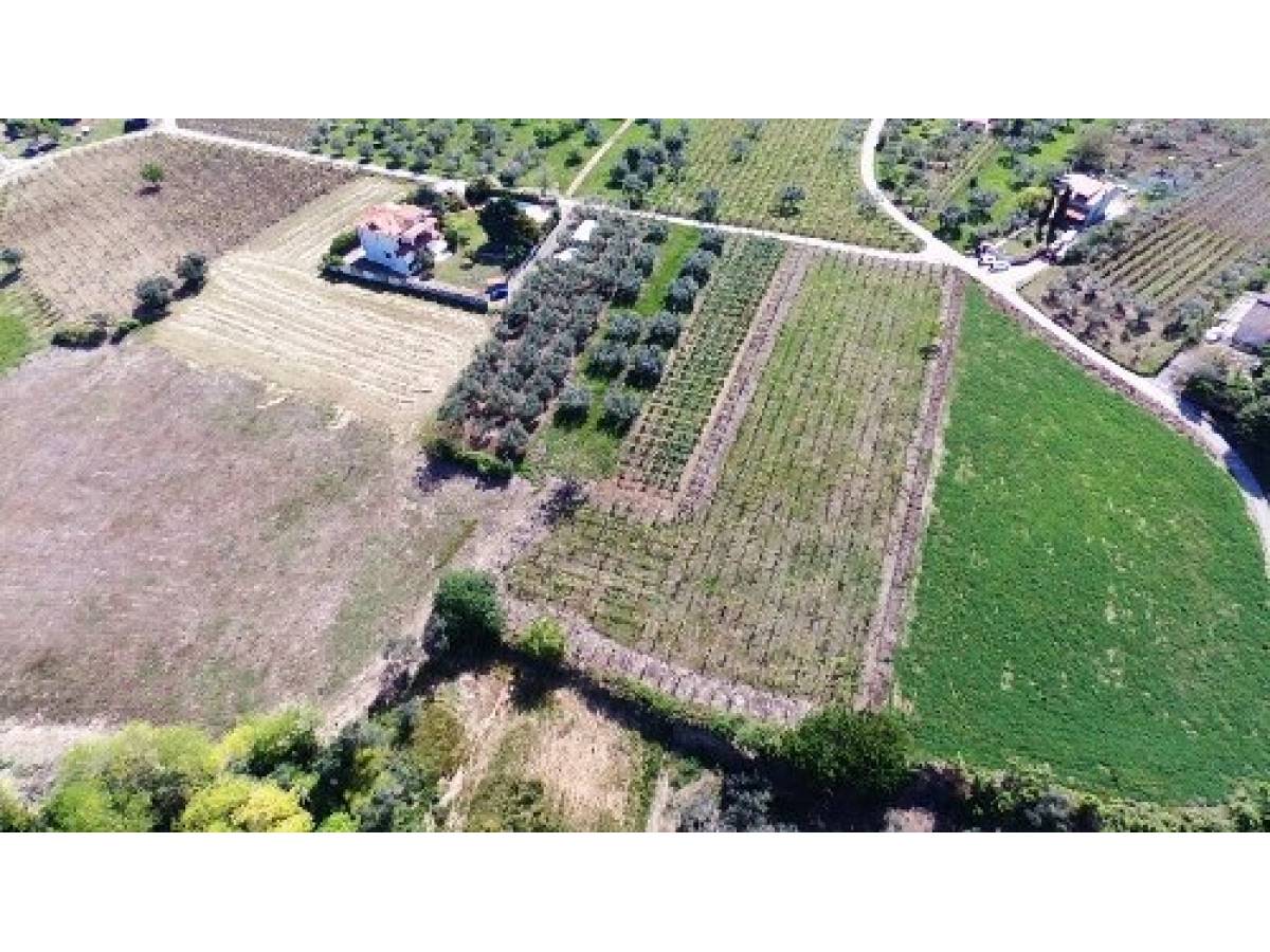 Terreno Agricolo in vendita in   a Ortona - 7079900 foto 6