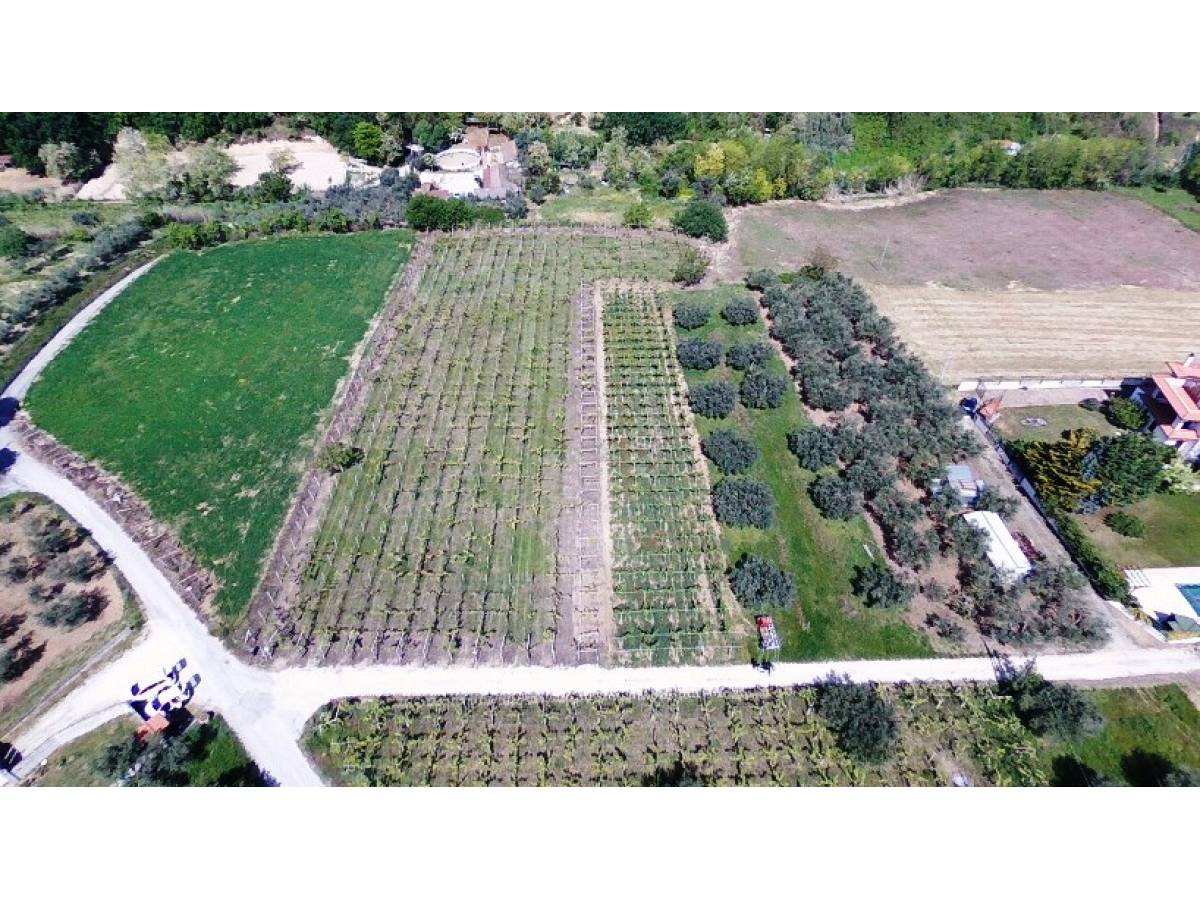 Terreno Agricolo in vendita in   a Ortona - 7079900 foto 8