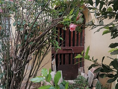 Vendita Attività commerciale food a Bucchianico