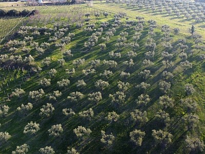 Vendita Terreno Edificabile Res. a Ripa Teatina