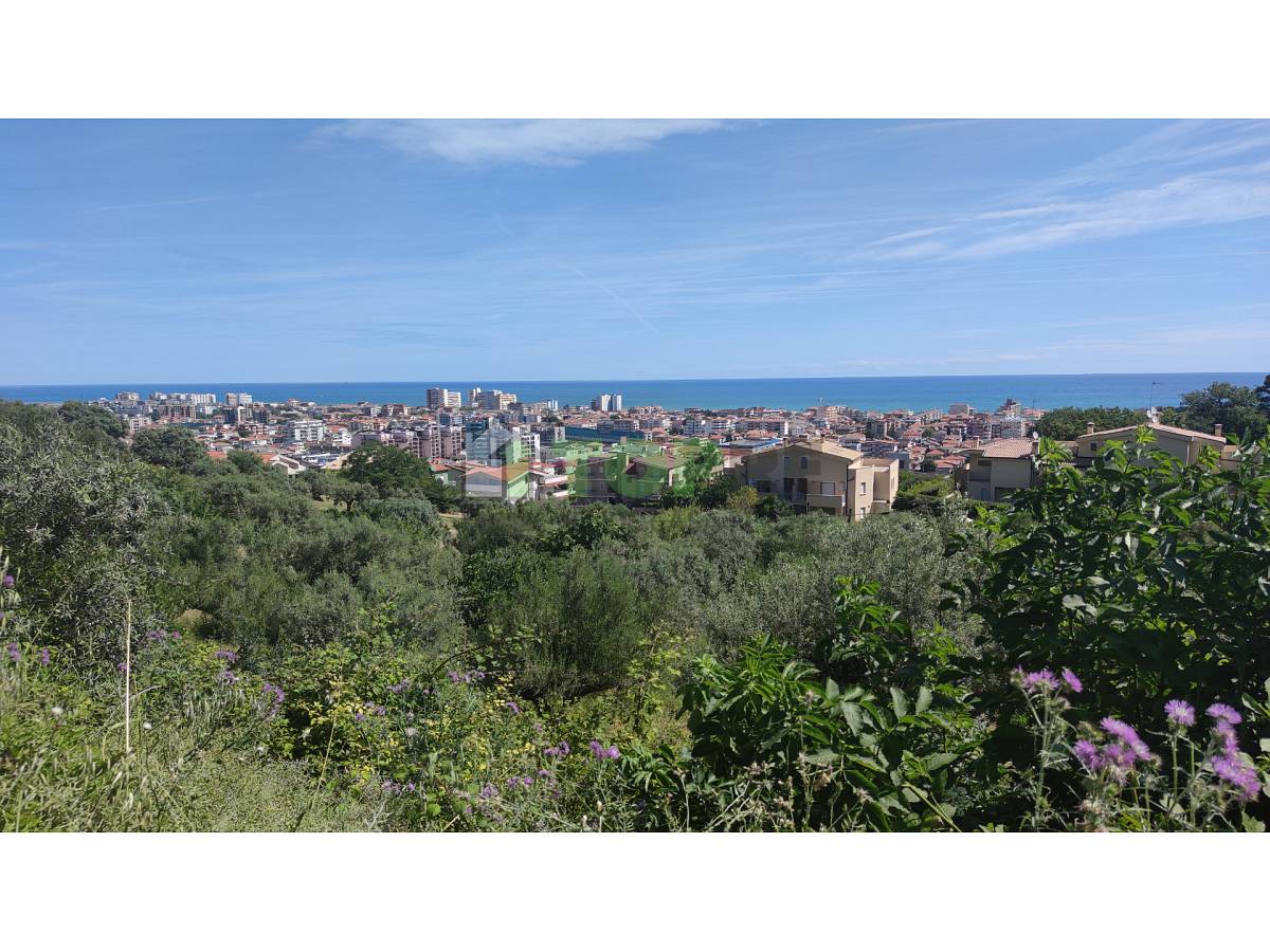 Terreno Edificabile Res. in vendita in  zona Colle a Montesilvano - 2614974 foto 2