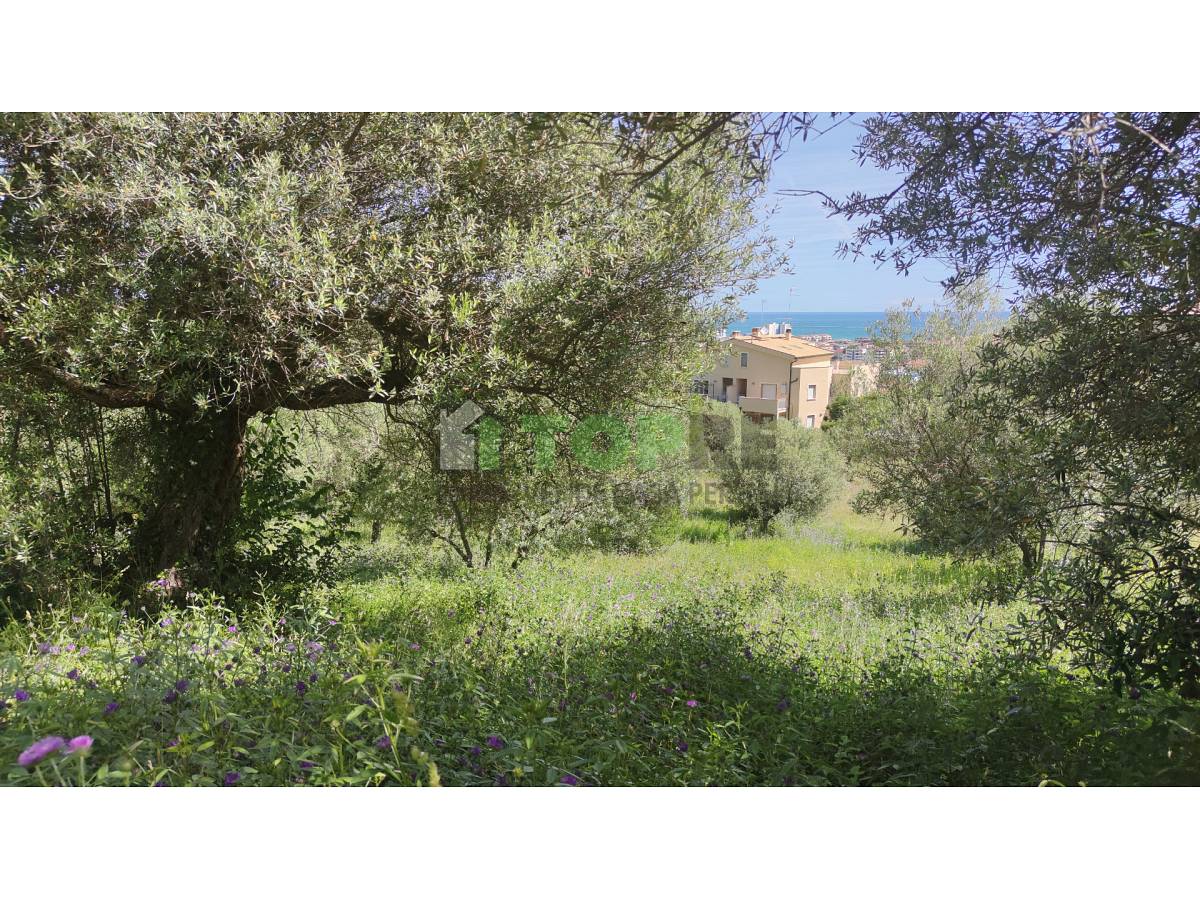 Terreno Edificabile Res. in vendita in  zona Colle a Montesilvano - 2614974 foto 3