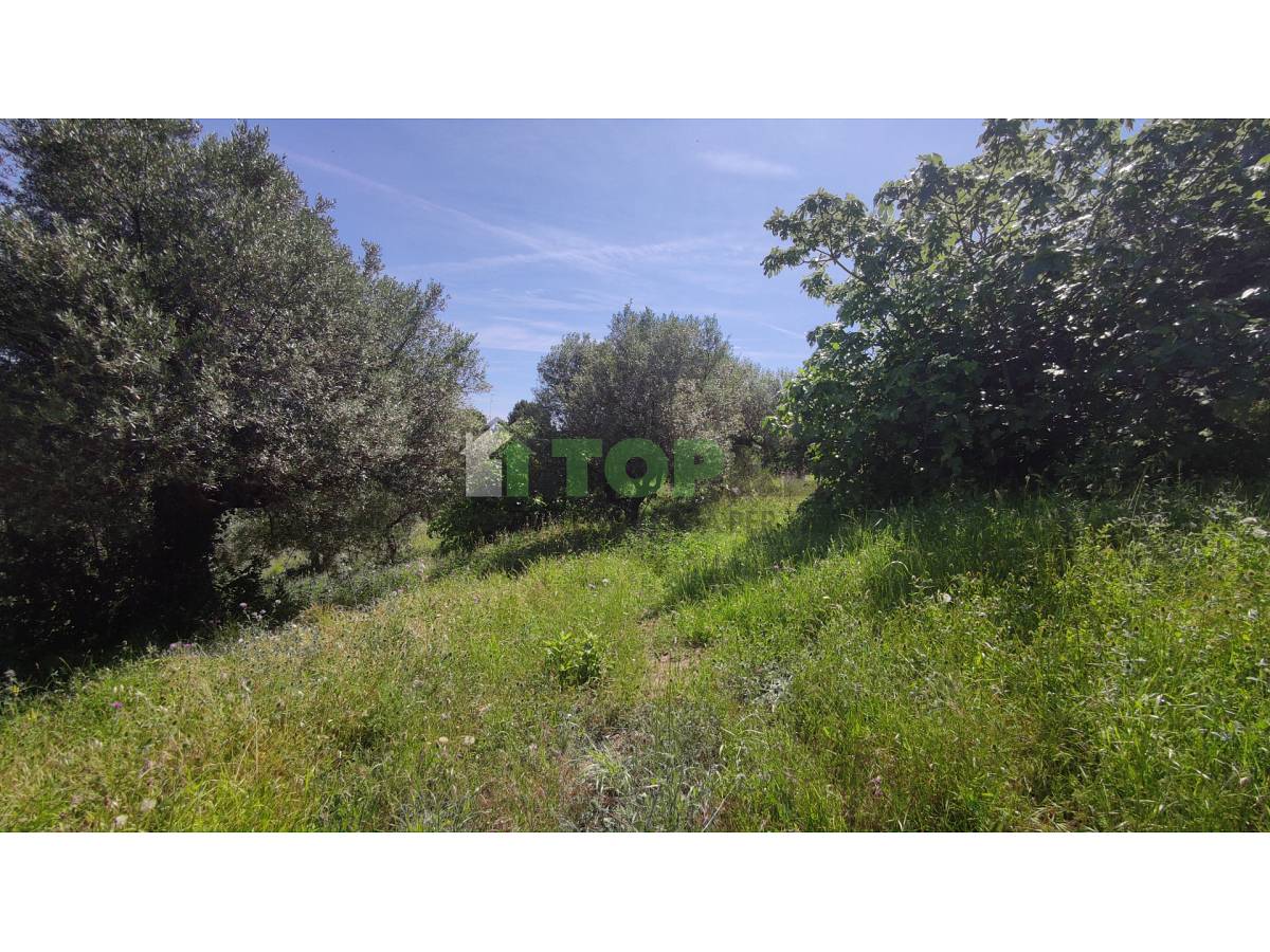 Terreno Edificabile Res. in vendita in  zona Colle a Montesilvano - 2614974 foto 4