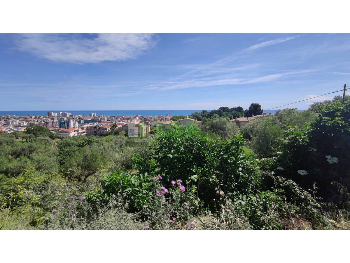 Terreno Edificabile Res. in vendita in  zona Colle a Montesilvano - 2614974 foto 6