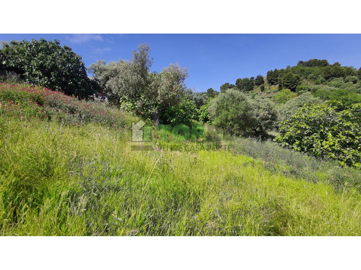 Terreno Edificabile Res. in vendita in  zona Colle a Montesilvano - 2614974 foto 8